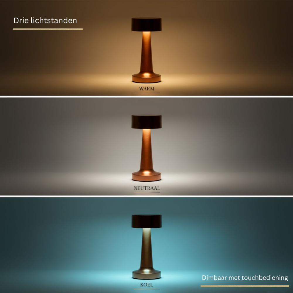 OMNIEXA Tafellamp Rose Goud Lázaro