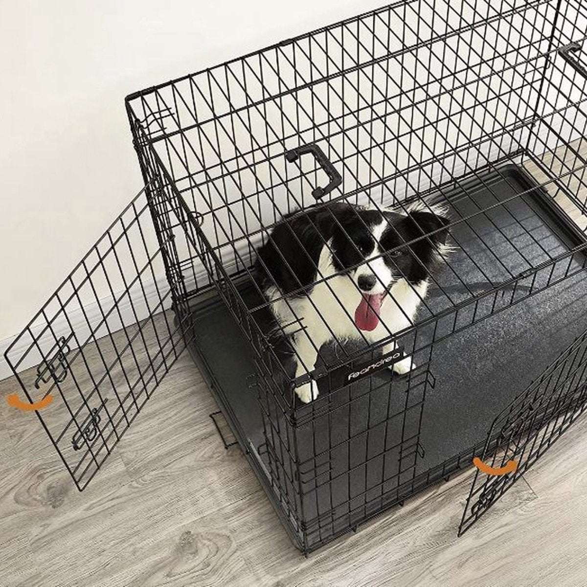 MAZAZU HondenBench Lola