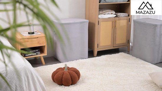 MAZAZU wasmand kenmerken overzicht